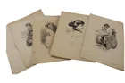  Preview image for Lot# 226 - 8 1909 Gibson Prints 