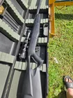  Preview image for Pellet Gun 