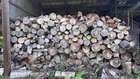  Preview image for Lot# 354 - Large Lot of Firewood MUST TA 