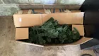  Preview image for Lot# 374 - 6.5ft Christmas Tree 