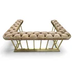  Preview image for Brass and Tufted Leather Club Fender 