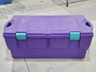  Preview image for Lot# 621 - Tucker Storage Tote / Trunk 