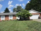  Preview image for HOME FRONT VIEW 