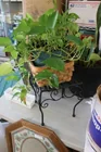  Preview image for Lot# 46 - Black Metal Plant Stand 7 Live 