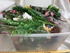  Preview image for Lot# 6097 - Large Bin of Assorted Artifi 