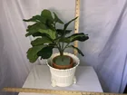  Preview image for Artificial flower pot Good friend Spain 