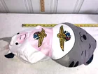  Preview image for Fun Indianapolis Speedway Dual Pillow 