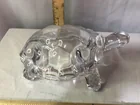  Preview image for Glass Turtle 