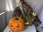  Preview image for Pumpkin and large bags of fall flowers 