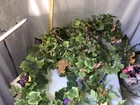  Preview image for Two floral wreaths 