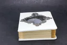  Preview image for WHITE PHOTO ALBUM W STERLING CENTERPIECE 