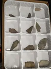  Preview image for ARROW HEADS 