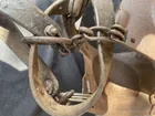  Preview image for Bull Harness 