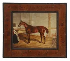  Preview image for British Sporting School, Equestrian 