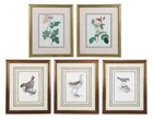  Preview image for Decorative Lot of Ornithological and 