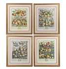  Preview image for Decorative Suite of (4) Robert Furber 