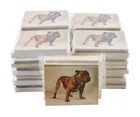  Preview image for NOS Bulldog Cards 