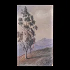  Preview image for California School Eucalyptus Landscape 