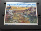  Preview image for 2003 Arctic Tundra Full Cancelled Stamp 