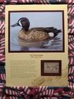  Preview image for 1953 Dept. Of The Interior Duck Stamp, 