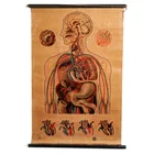  Preview image for J. Teck for St. John Ambulance 