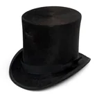  Preview image for Antique Christys' London Silk Beaver 