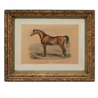  Preview image for Equestrian Portrait "The Race Horse" 