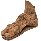  Preview image for Large Carved Wood Greco-Roman Foot 