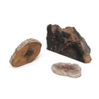  Preview image for (3 pc) Polished Petrified Wood Specimens 