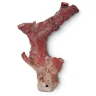  Preview image for Natural Unpolished Red Coral Branch 