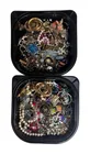  Preview image for Unsearched Costume Jewelry Collection 