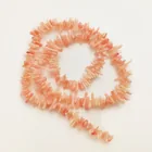  Preview image for GENUINE SALMON CORAL STICKS BRUNCHES 