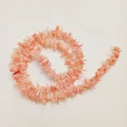  Preview image for GENUINE SALMON CORAL STICKS BRUNCHES 