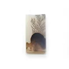  Preview image for 11.7 x 6.3 mm Rectangular shape Dendrite 