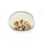  Preview image for 12.8 x 9.7 mm Oval shape Dendrite Agate 