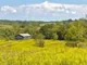 Absolute Auction â€“ 324.5+/-Acres in 7