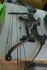  Preview image for Lot# 177 - Compound Bows 