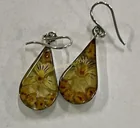  Preview image for Lot# 113 - STERLING AND ACRYLIC EARRINGS 