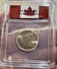  Preview image for Lot# 119 - 2009 GEM BU CROSS COUNTRY SKI 