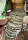  Preview image for Lot# 260 - METAL BASKETS 
