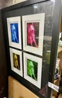  Preview image for Lot# 755 - HUSKY PRINT 