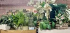  Preview image for Lot# 969 - GREENERY - PLANTERS 