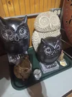  Preview image for Owls 