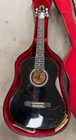  Preview image for Delta D901 Guitar with Case 