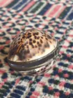  Preview image for Shell Trinket Box with Hinged Opening 