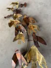  Preview image for Decorative Metal Bird Wall Decor 