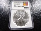  Preview image for 2020-(P) American Silver Eagle - NGC 