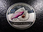  Preview image for 25 Grams .999 FINE SILVER (Unmarked) 