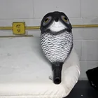  Preview image for Lot# 189 - Owl-Form Pest Deterrent Bird  