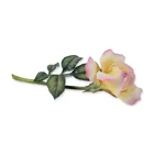  Preview image for Boehm English Bisque Porcelain Rose 